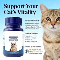 Tablet Multivitamin Hewan Peliharaan Label Pribadi OEM, Kunyah Lembut, Nutrisi, Suplemen Imunitas untuk Anjing dan Kucing