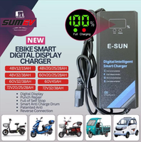 Dernier modèle de chargeur de batterie au plomb à plusieurs niveaux de puissance pour vélos électriques, tricycles électriques, voiturettes de golf et véhicules à basse vitesse