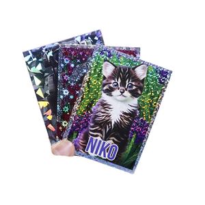 การ์ดพลาสติกพีวีซีสำหรับเด็กพิมพ์ลายไพ่โซลิแทร์สำหรับซื้อขายคู่กราฟิกคลาสสิกผู้ผลิตเกมการ์ดเกมแบบกำหนดเอง - Product Image 2