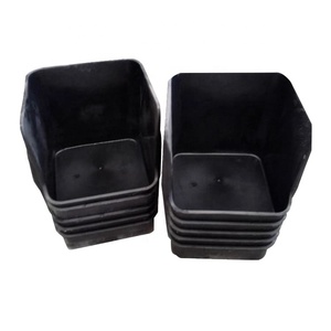 Yyb pp đen gia cầm trang trại ngỗng vịt Coop đặt tổ vịt làm tổ hộp - Product Image 5