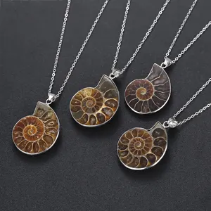 JOYA hediye Charm el yapımı doğal kabuklu Ammonite gümüş sarılmış kolye kabuk kolye kadınlar için