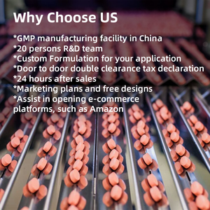 תשומת לב משופרת מוגברת העור חסינות פרמיה קפה פטריות תמצית הקולגן אריות צ 'גה קולגן אריות - Product Image 6