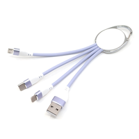 Câble de charge multi-usage 3 en 1, câble de charge USB portable en forme de porte-clés, cordon de charge court et petit compatible avec les smartphones