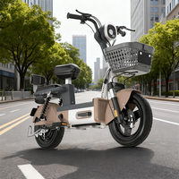 Vélo Électrique Urbain Adulte 14 Pouces Dernier Modèle en Gros, Moteur Brushless Haute Vitesse 48V, Cadre en Acier Inoxydable, Batterie au Plomb