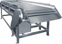 Vruchtensap Productielijn Appelsap Productielijn/Complete Mango Sap Productielijn