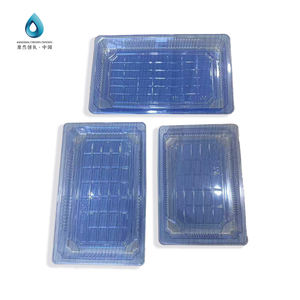 Vassoio per Sushi dorato, - Product Image 3