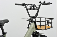 Tricycle électrique pour personnes handicapées de 20 pouces de haute qualité avec moteur arrière de 250 W, batterie intégrée de 48 V 15 Ah et système de frein à disque