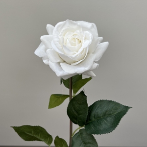 Rose artificielle W-A0019 au toucher réel, rose artificielle de haute qualité, rose artificielle Alice, rose artificielle <span class=keywords><strong>Louis</strong></span> pour la décoration de mariage - Product Image 3