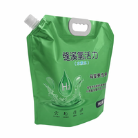 Sachets Doypack Personnalisés Imprimés, Imperméables, Thermoscellables pour Lessive, en PET/NY/PE, Impression Gravure