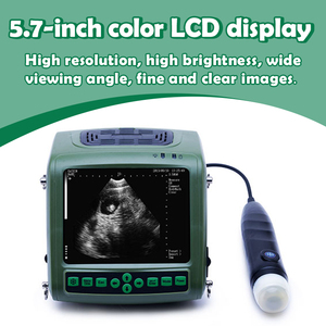 Veterinary B Ultrasound 5.7" <strong>Portable</strong> <strong>Scanning</strong> Medical Equipment Waterproof Probe for Animal Health Diagnosis Cows Pigs Sheep - Product Image 2