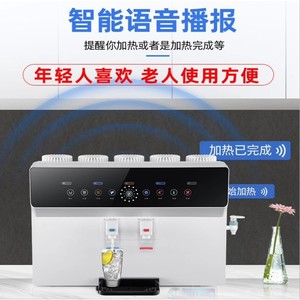 Home Water Purifier <b>Reverse</b> <b>Osmosis</b> Tankless Wall Mount Voice Control Heating Unit Pure Drinking Water <b>System</b> - Product Image 5