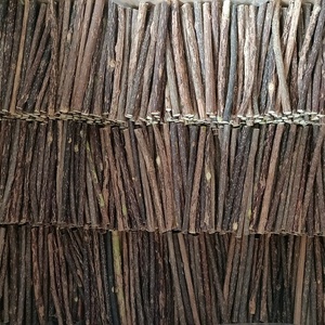 Nuovo Raccolto di Bastoncini di Matatabi Essiccati Freschi, Radice di Silvervine per Gatti - Product Image 6
