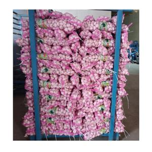 <span class=keywords><strong>Ail</strong></span> blanc biologique de haute qualité, fournisseur d'<span class=keywords><strong>ail</strong></span> blanc pur du Shandong, emballage de 20 kg, <span class=keywords><strong>ail</strong></span> rouge - Product Image 3