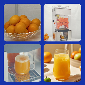 Exprimidor Comercial Automático de Naranjas con Caja de Filtro Extraíble y Cubierta Acrílica OWN-ZXG-1102, Exprimido Eficiente - Product Image 5
