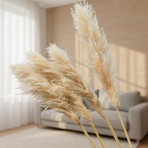 Herbe de la Pampa 2026 en gros, grande plume naturelle séchée et préservée, pour décoration bohème, mariage, fête des Mères, Noël, longue durée, 3-5 - Product Image 1