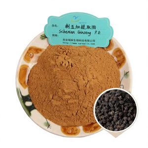 엘레우테로코쿠스 센티코수스 시베리아 인삼 에너지 부스트 보충제 파우더 활력 증진 시베리아 인삼 추출물 - Product Image 1