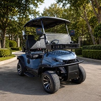 Voiturette de golf électrique Maple Woods 2, 4 ou 6 places, moteur AC 48V 5KW, batterie au lithium, pour la collecte de la sève de haute qualité en abri de sucre avec support de seau à sève
