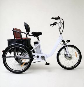 Pneus de 24 pouces, batterie lithium 48V 13Ah, capacité de charge maximale de 170 kg - tricycle électrique pour passagers et marchandises - Product Image 2