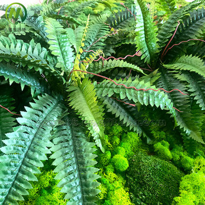 Artificial <strong>Moss</strong> Wall Panel Decorative <strong>Moss</strong> Backdrop Lifelike Preserved <strong>Moss</strong> High Simulation Green Plant Wall for Indoor Decor - Product Image 5