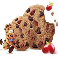 Ligne de production automatique de biscuits aux pépites de chocolat BNT-208 en acier inoxydable, haute productivité, commande tactile, machine à biscuits fourrés