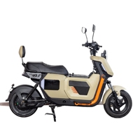Cyclomoteur Électrique Biplace Homologué pour la Route avec Grande Autonomie