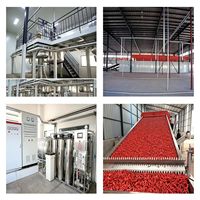 Additif épicé naturel, oléorésine de capsicum 150k SHU, huile d'extrait de piment pour l'assaisonnement des aliments dans les restaurants et la restauration