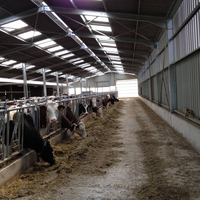 Abri pour chèvres en structure acier de qualité supérieure avec ossature métallique durable