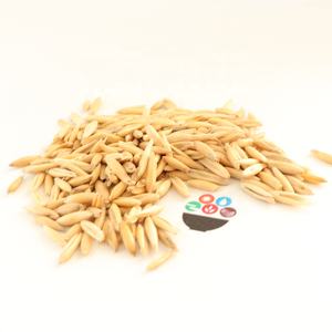 25kg 50kg बैग कच्चे पूरे Unhulled जई अनाज दलिया - Product Image 4