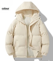 Veste d'hiver épaisse et chaude à capuche unisexe, coupe décontractée, grande taille, manteau en coton, longueur standard, couleur unie tendance, sans imprimé