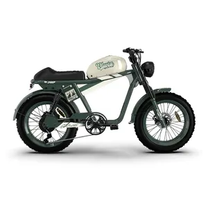 미국 창고 500w 750w 48v 모터 팻 타이어 빠른 전체 서스펜션 전기 산 먼지 자전거 도시 자전거 전기 오토바이