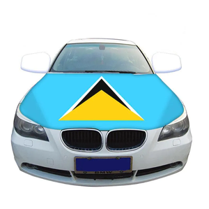 Housse de voiture personnalisée avec drapeau du Nigéria, housse de capot de voiture souple et élastique, accessoires de décoration de voiture, universelle pour berlines et SUV - Product Image 3