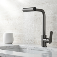 Robinet de cuisine extractible en acier inoxydable