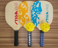 Ensemble de raquettes de pickleball avec poteau de cage de frappe, fabriqué par une usine OEM