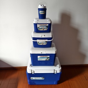 Set de Nevera Portátil para <span class=keywords><strong>Camping</strong></span> al Aire Libre 1L, Refrigerador para Conservación de Alimentos Frescos y Fríos, Caja de Cadena de Frío para Coche, Bolsa Térmica para Picnic - Product Image 1