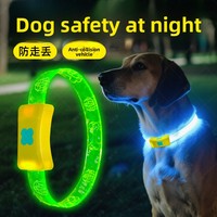Collier lumineux pour chien en plastique pour la promenade nocturne, anti-perte, rechargeable, disponible en grandes et petites tailles, produits pour animaux de compagnie, accessoires pour animaux de compagnie