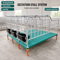 Équipement d'élevage : Barre de positionnement robuste pour gestation, Enclos de gestation galvanisé, Clôture de cage à porcs, Enclos d'engraissement