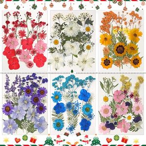Assortiment <span class=keywords><strong>de</strong></span> feuilles florales séchées naturelles pour kit d'artisanat DIY, pour la résine, la fabrication <span class=keywords><strong>de</strong></span> téléphones, <span class=keywords><strong>de</strong></span> savons, <span class=keywords><strong>de</strong></span> bougies et <span class=keywords><strong>de</strong></span> bijoux - Product Image 4
