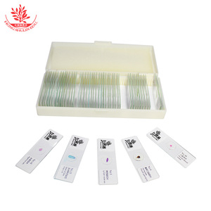 50 - Product Image 2