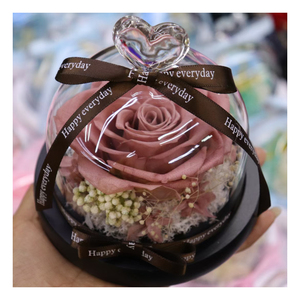 Fábrica al por mayor Regalos del Día de San Valentín Cúpula de cristal Bella Encantada Preservada para siempre Rosas en cúpula de cristal - Product Image 3