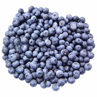 Pasokan Massal Blueberry Beku IQF Segar Berkualitas Tinggi Ekspor Global Grade A Buah-buahan