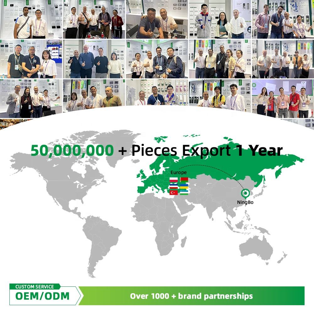 Manufacturer OEM Hot Sale High Quality Modern EU Switch Sockets European 1 Gang 2 Way Wall Switches and Sockets