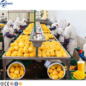 Hot Selling Mango Juice Processing Machine Fruit Juice Production Line Price
