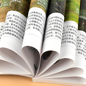 Design estetico <span class=keywords><strong>biografia</strong></span> personale, personalizzazione perfetta rilegata di grado del collezionista, servizi di pubblicazione professionale - Product Image 4