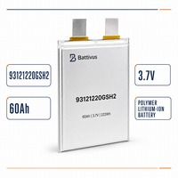 Batterie solide Battivus 60Ah 3.87V, décharge 2C, 516g, seulement 450Wh/kg, pour drone de cartographie VTOL à longue autonomie et charge lourde