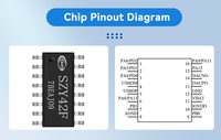 Carte de vœux multimédia et d'enregistrement audio personnalisée SIZEYUAN SZY42F4 avec puce sonore, changeur de voix, OTP, éclairage IC 7IO -40~85C