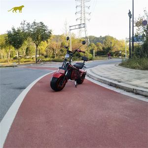 Los Más Vendidos con <span class=keywords><strong>Diferentes</strong></span> Tipos de Formas para el Scooter Eléctrico Citycoco - Product Image 3