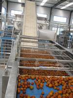 Automatische Kleinschalige Dadelstroop Productielijn Auto Arabische Dadels Honingmelasse Maken Extractiemachine Verwerkingsfabriek
