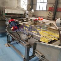 Nieuwe productielijn voor het frituren en invriezen van frites en chips, inclusief aardappelsnijder