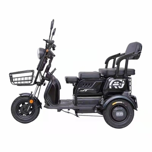 Il piccolo Scooter elettrico per triciclo SAIGE 500 w 48v per anziani può essere utilizzato per trasportare persone o tirare merci VG - Product Image 2