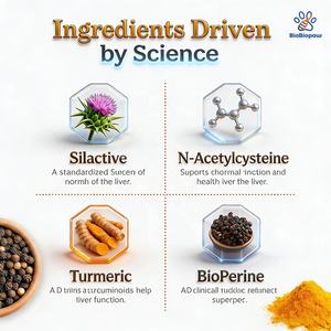 Integratore OEM/ODM per il Supporto del Fegato dei Cani con Estratto di Cardo Mariano, Curcuma e Colina per la Funzione Epatica Canina - Product Image 5